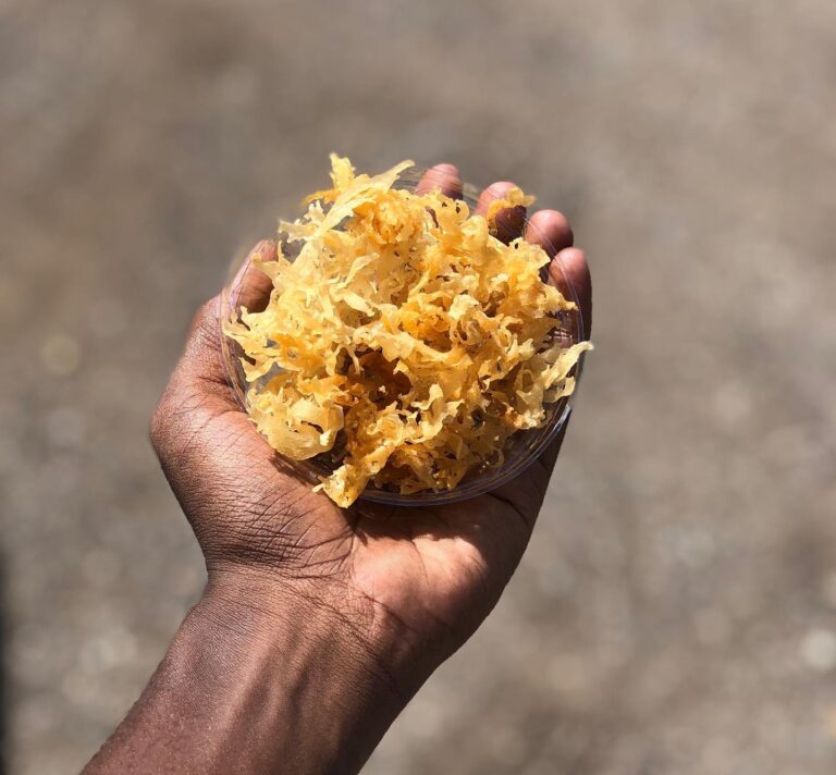 Health Products & Sea Moss